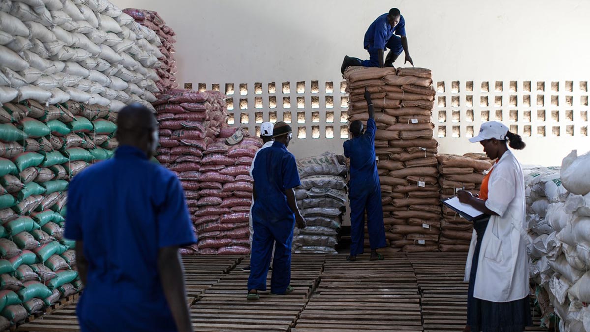 Agricultural Small And Medium-Sized Enterprises (agri-SME) workers in a warehouse.