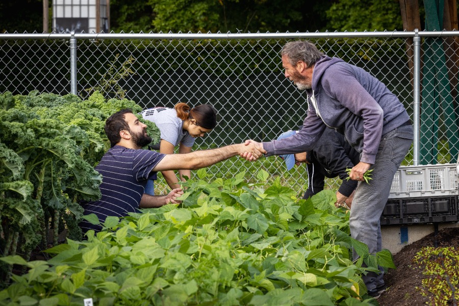 Two men shake hands while gardening. 