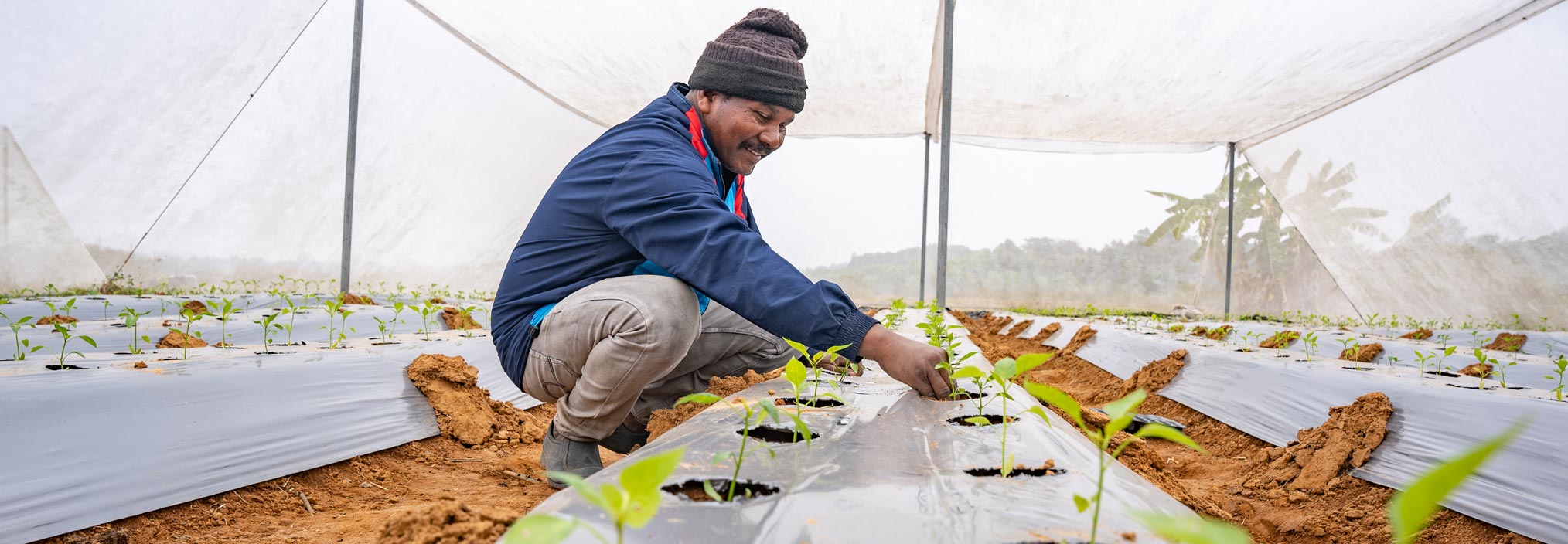 billboard image Beyond Benevolence: Investing in India's Equitable Climate Future