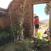 Bolivia greenhouse