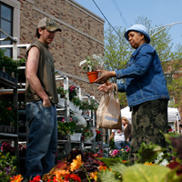 flower sale